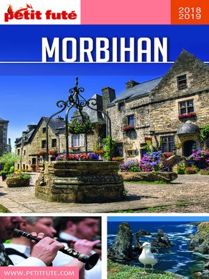 cover image of MORBIHAN 2018/2019 Petit Futé